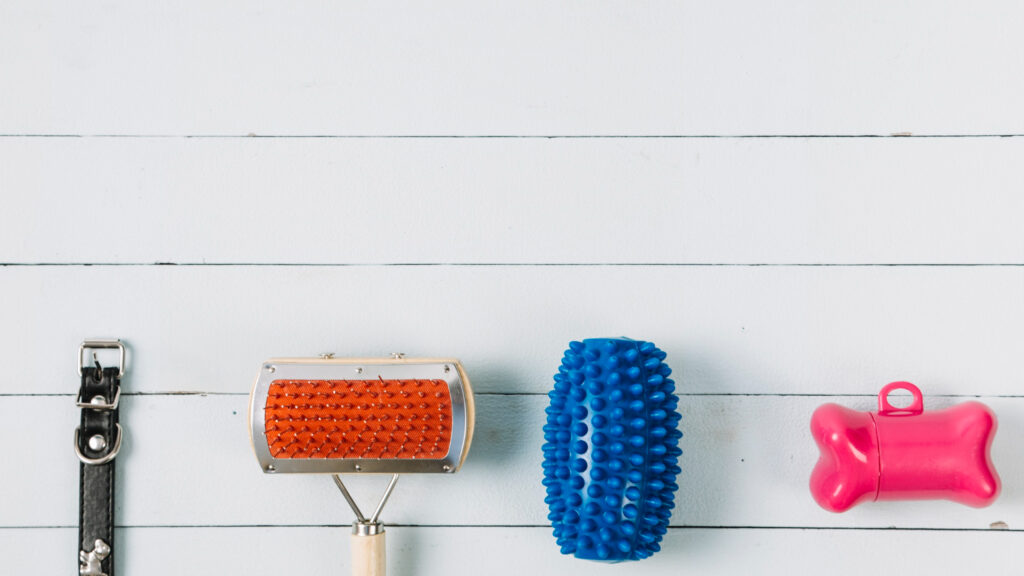Instrumente de grooming: pieptene metalic și perie pentru pisici tip slicker.