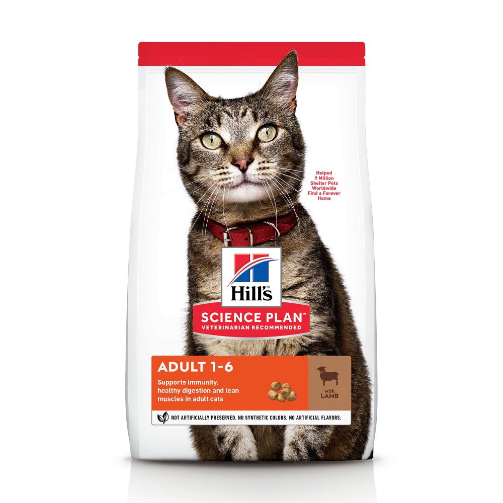 SP FELINE ADULT L&R 300 G