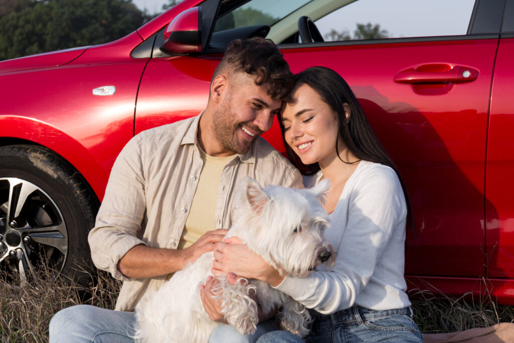 deparazitarea-externa-bichon-1