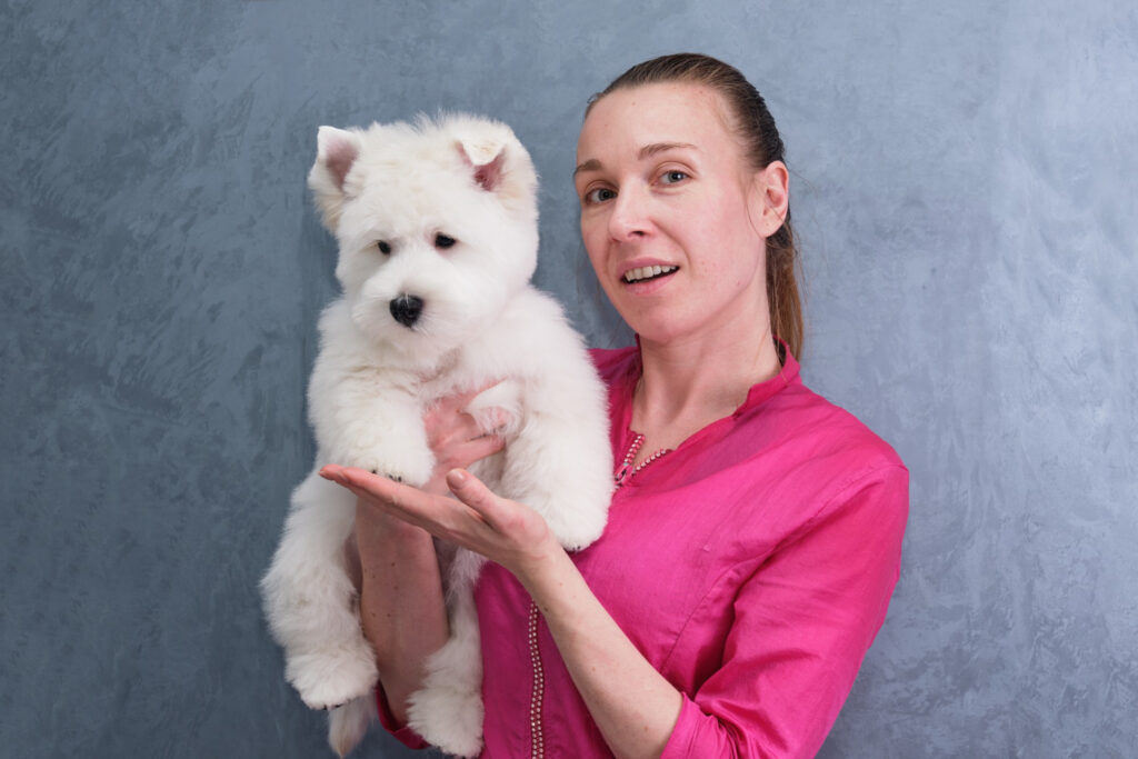 sterilizare-bichon-2