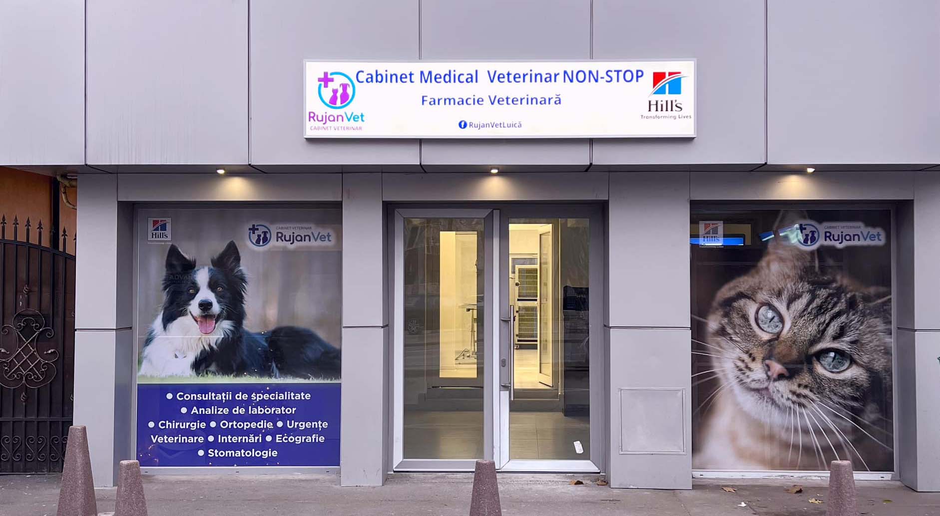 cabinet veterinar rujanvet bucuresti, cabinet veterinar bucuresti