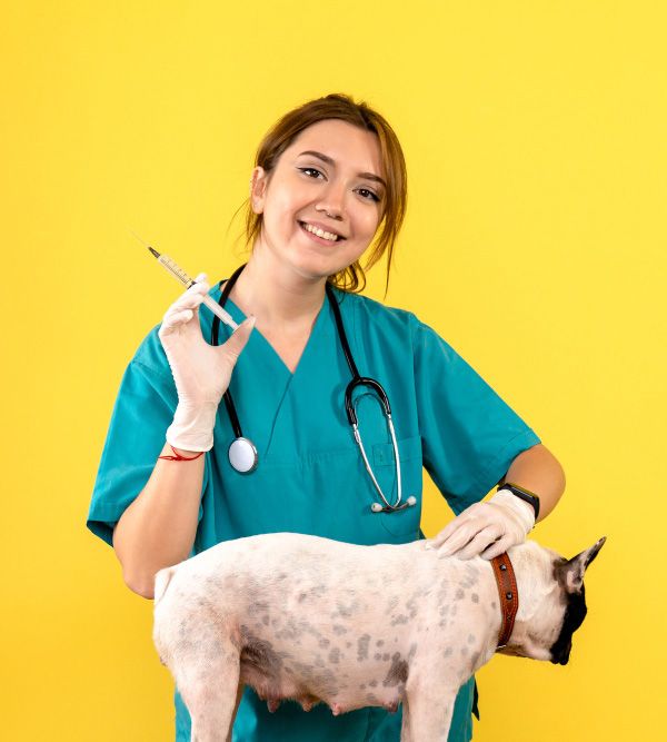 Vaccinurile pentru puii de câine