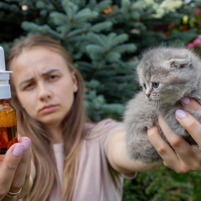 Spray de deparazitare la pisici: Ghid complet de utilizare și beneficii