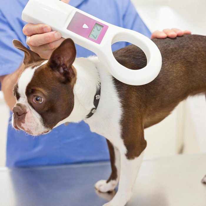 Microciparea la animalele de companie